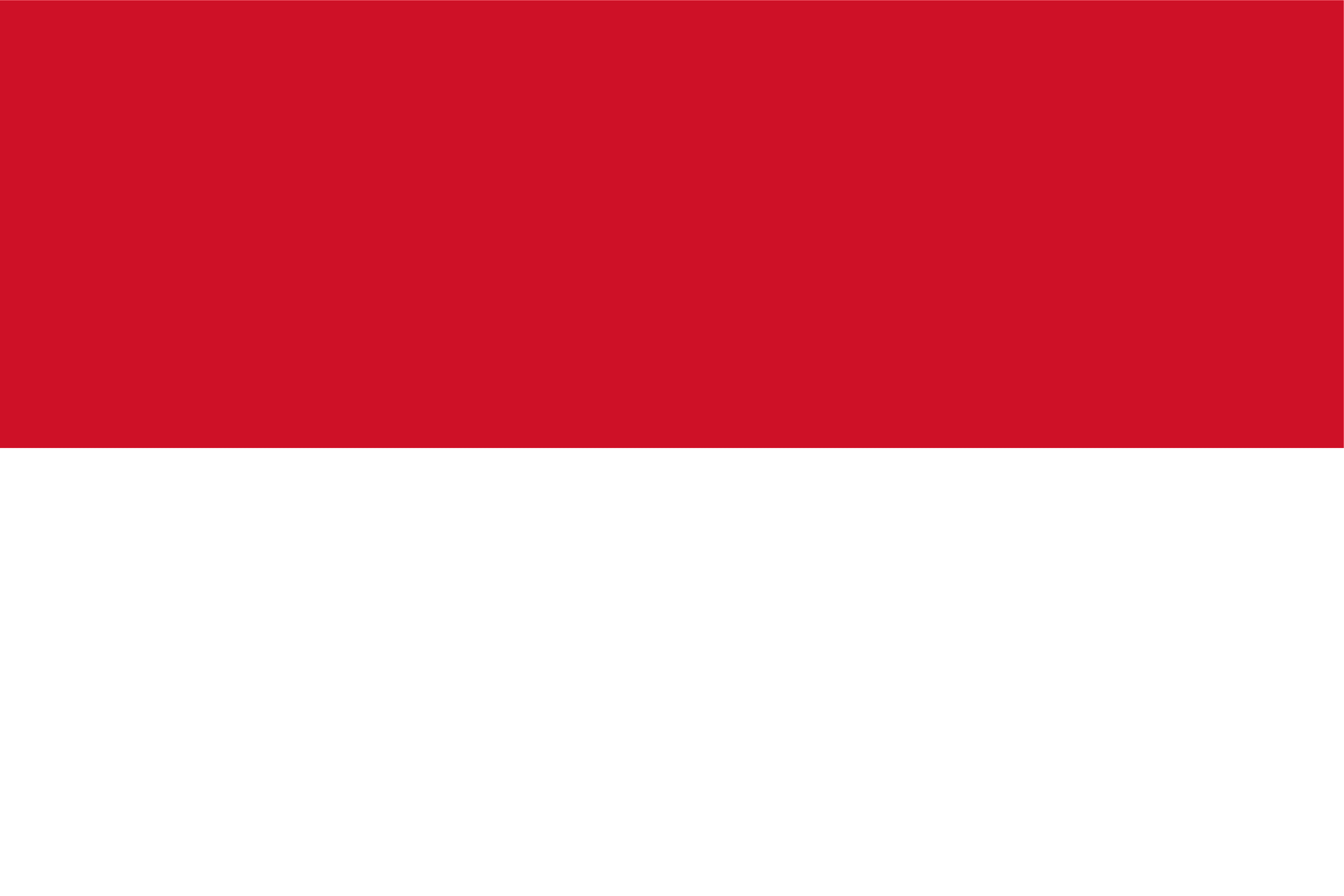 Indonesia Flag